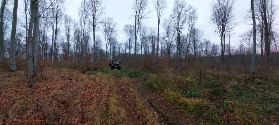 Pasted into На Тернопільщині впіймали чоловіка, який незаконно рубав ліс