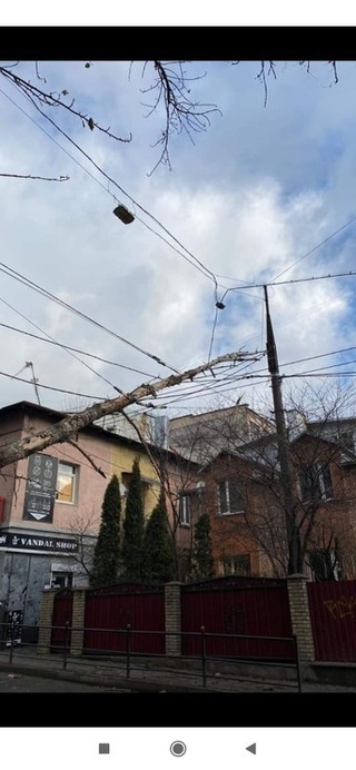 Pasted into У центрі Тернополя на дорогу впало дерево (фото, відео)