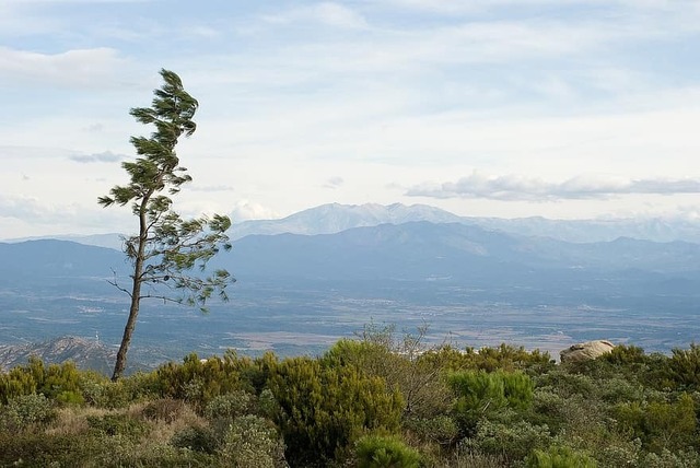 spain-tree-mountains-nature-spring-land-day-wind-weather