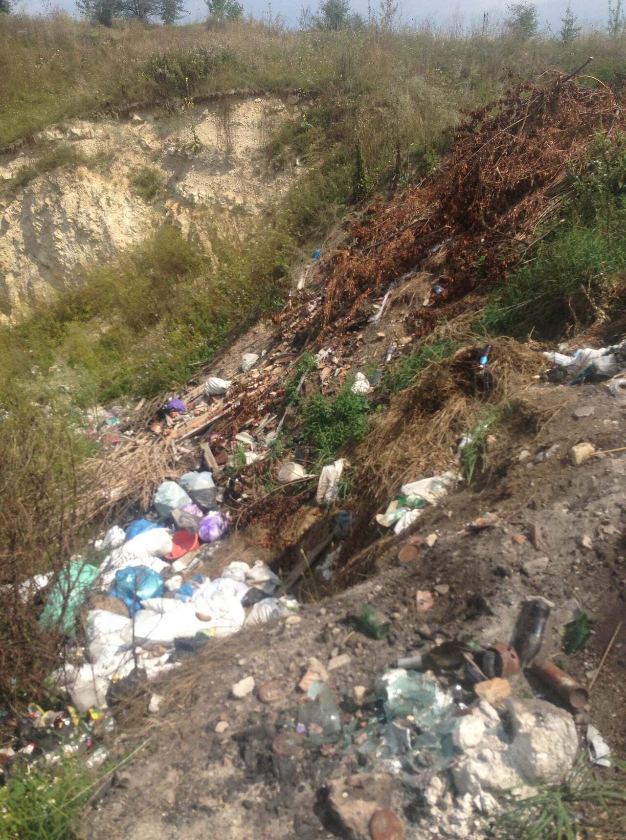 Pasted into Більше 20 стихійних сміттєзвалищ виявили у громадах Тернопільщини
