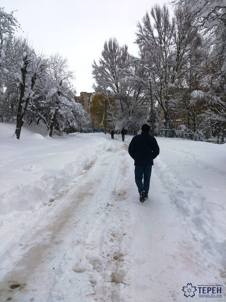 сніг тернополяни дорога