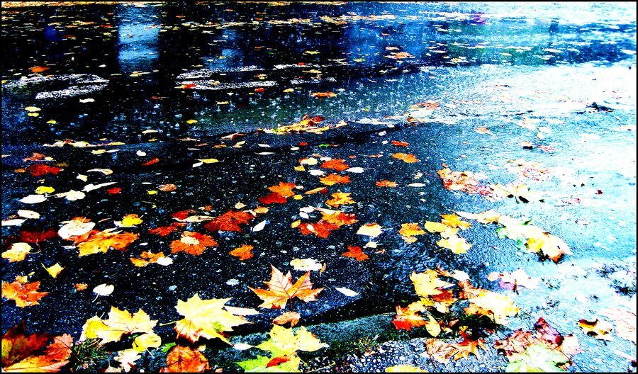 autumn_rain_by_dejan91lp