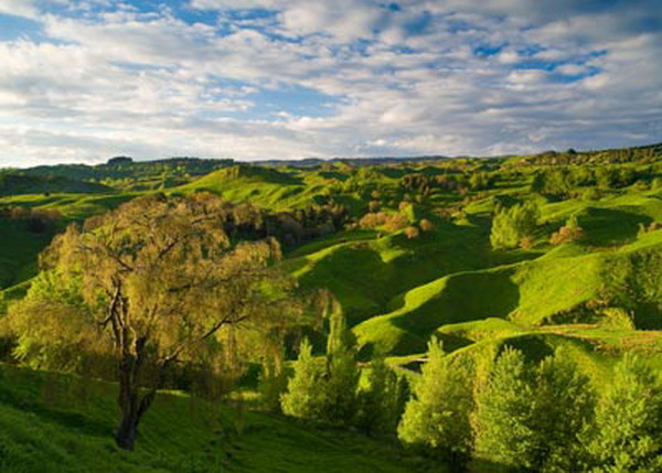 Farmland near Taihape, North Island, New Zealand