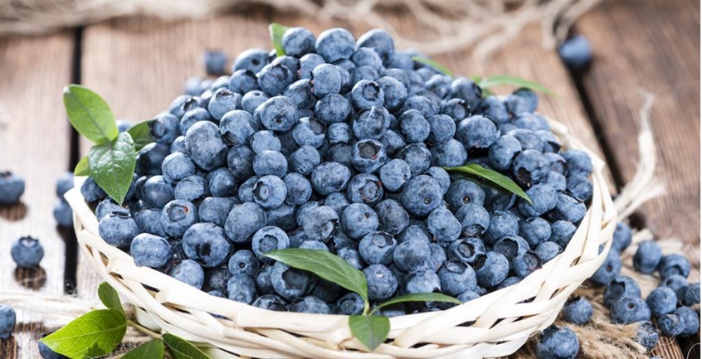 Big portion of fresh harvested Blueberries on wooden background (close-up shot)