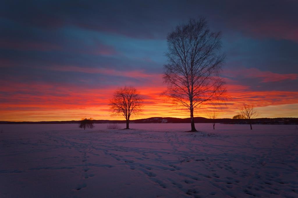 winter_fields_sunrises_463871-copy