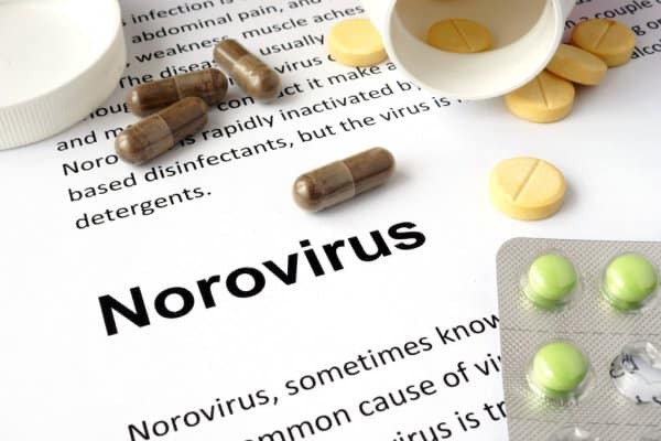 Норовірус