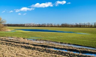 depositphotos_13367247-stock-photo-crop-field-at-early-spring