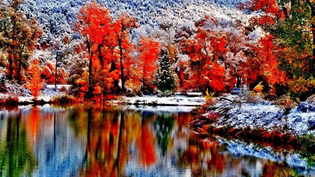 Wonderful-nature-landscape-Autumn-forest-snow-on-mountain_1920x1080