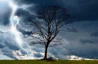 tree-and-storm