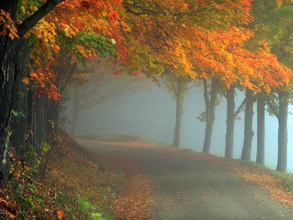 autumn-fog
