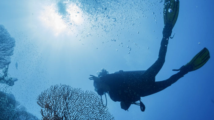 A diver swims at the Ras Um Sid site, near Sharm El-Sheikh