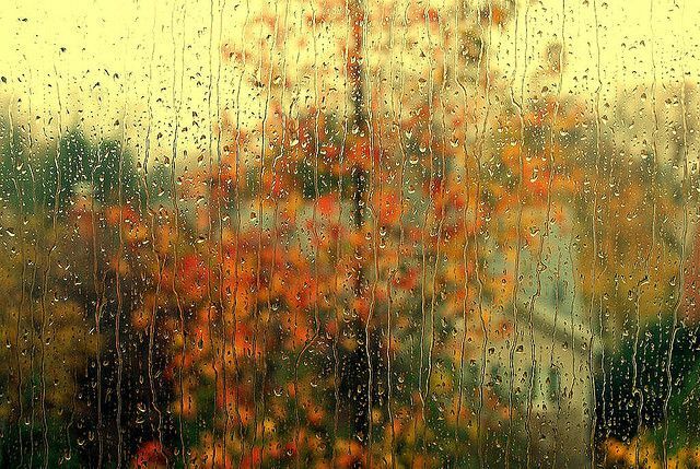 autumn-rain