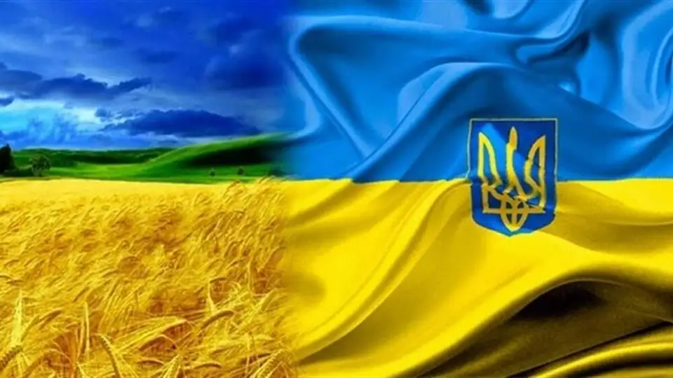image (5)
