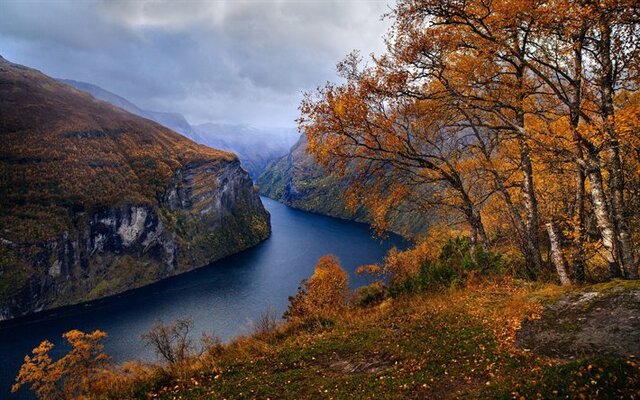 thumb2-fjord-autumn-landscape-yellow-trees-rocks-autumn