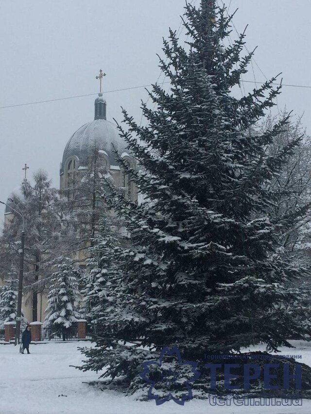 photo5298502391034918873