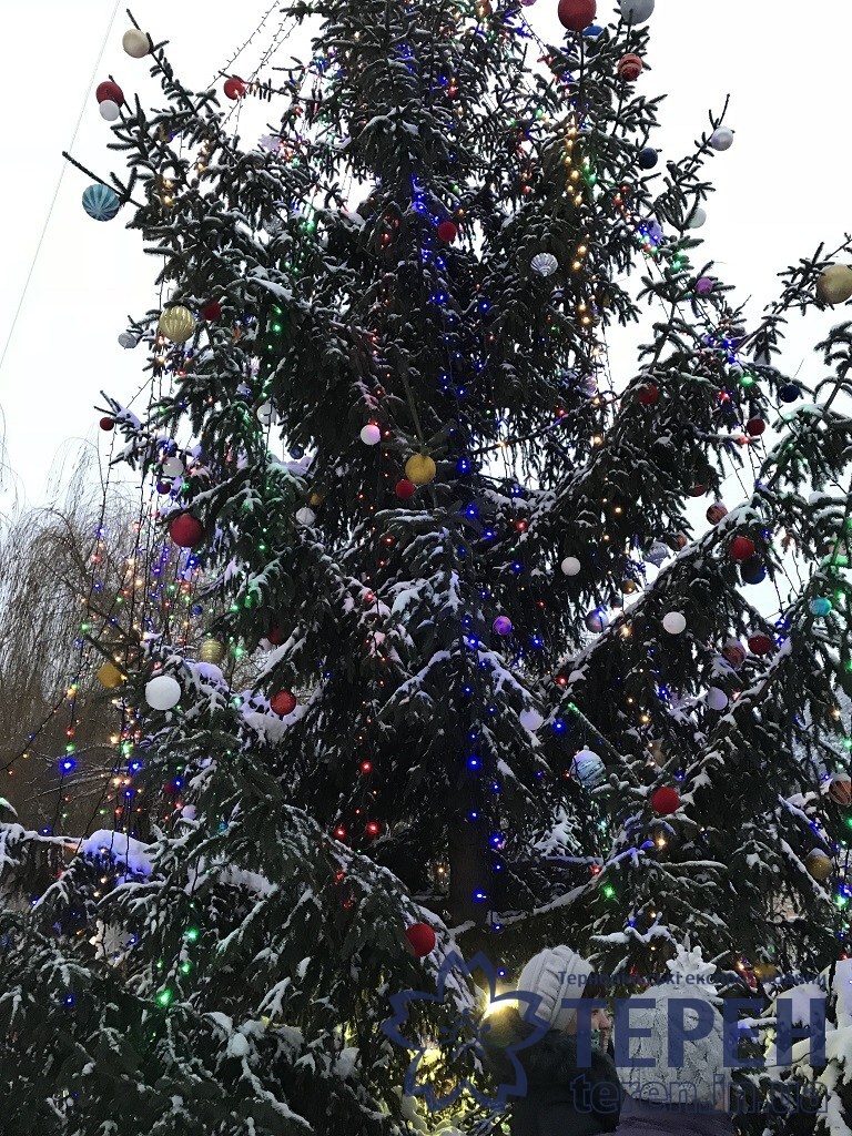 IMG_0285