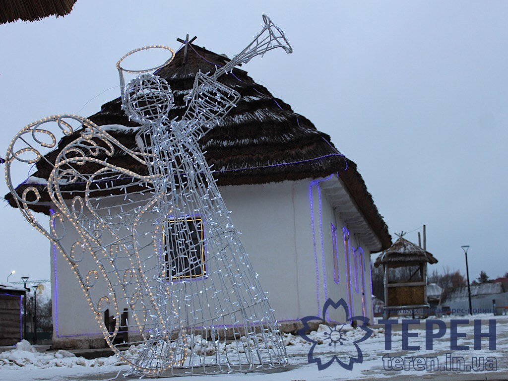IMG_3558
