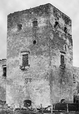 Фото 4 Вежа Залозецького замку