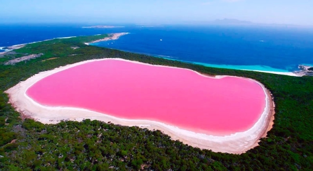 lago-rosado-hiller