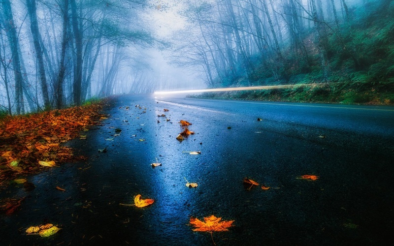 usa-road-autumn-rain-fog-foliage-forest-trees-light_1280x800