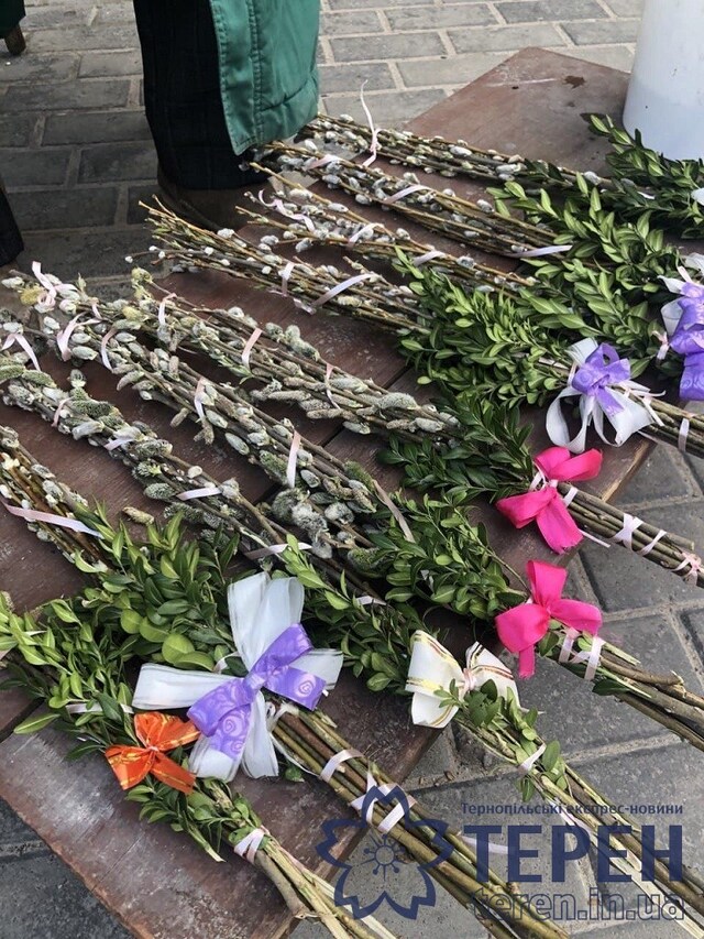 photo_2021-04-24_10-10-12