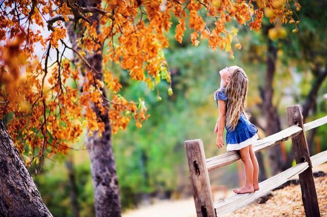 __opt__aboutcom__coeus__resources__content_migration__mnn__images__2018__09__little_girl_fence_fall-380ab8a461414f5ba2c64c50339040c9