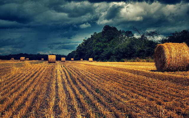 field-hay-landscape-brown-hay-field-wallpaper-preview
